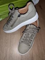 Tamaris leren schoenen - Nieuw - Maat 40, Ophalen of Verzenden, Nieuw