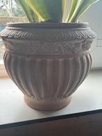 4 Aardewerk Bloempotten met Sanseveria (Vrouwentong), Ophalen, Gebruikt, Rond, Binnen