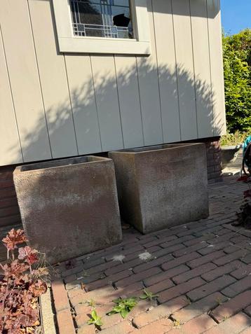 Betonnen bloembakken  beschikbaar voor biedingen