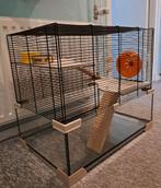 Knaagdierkooi, Kooi, Minder dan 75 cm, Zo goed als nieuw, Hamster
