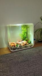 Biorb 15, Dieren en Toebehoren, Vissen | Aquaria en Toebehoren, Ophalen, Gebruikt, Leeg aquarium