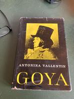 GOYA Antonina Vallentin, Gelezen, Antonina Vallentin, Ophalen of Verzenden, Schilder- en Tekenkunst