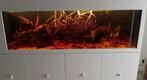 Aquarium van 225x70x60 cm met bioloog, Ophalen, Leeg aquarium