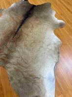 Koeienhuid 172/158, Gebruikt, Etten-Leur, 150 tot 200 cm, DJT@dejuistetoon.eu