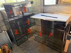 Diverse terrariums terraria (zie omschrijving), Ophalen, Zo goed als nieuw, Terrarium of Paludarium