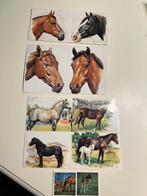Paarden stickers, Hobby en Vrije tijd, Nieuw, Ophalen of Verzenden, Meerdere stickers