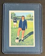 Voetbal Vanderhout 1972 - 1973 # 50 Jan Franz  ZELDZAAM, Verzamelen, Sportartikelen en Voetbal, Ophalen of Verzenden, Nieuw, Overige binnenlandse clubs
