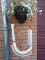 Horsegear Halster xfull, Ophalen of Verzenden, Zo goed als nieuw, Overige soorten