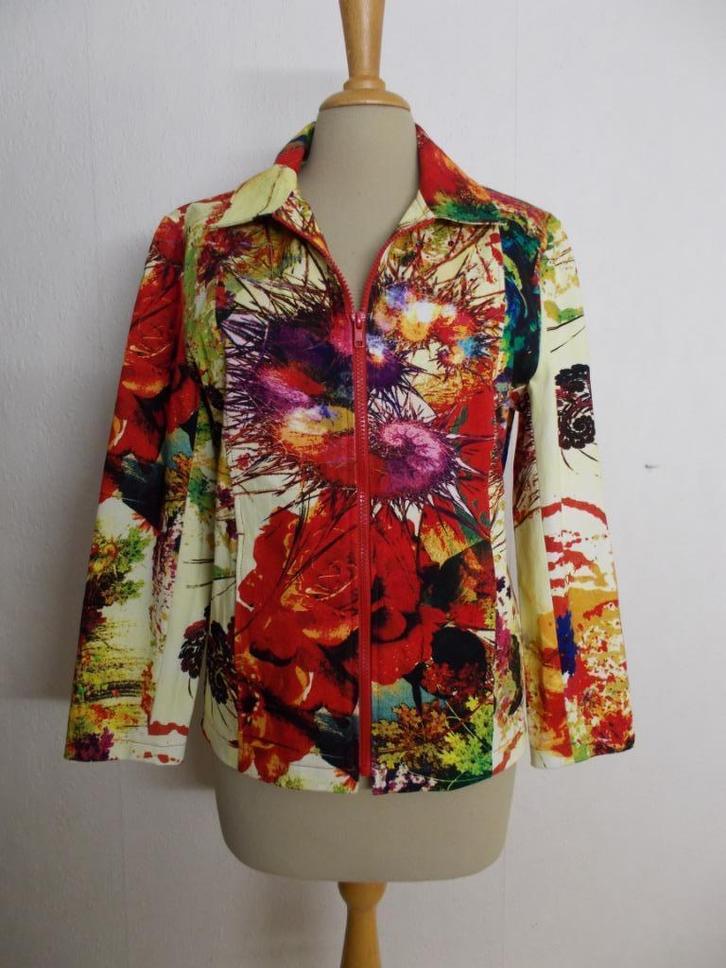 Prachtig kleurig print jasje! L, Kleding | Dames, Jasjes, Kostuums en Pakken, Zo goed als nieuw, Jasje, Maat 42/44 (L), Overige kleuren