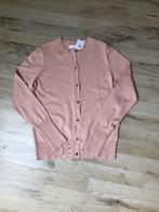 Nieuwe cardigan, Ophalen of Verzenden, Nieuw, Maat 36 (S), Roze