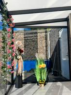 Gezocht !!!!, Tuin en Terras, Overkappingen, Ophalen of Verzenden, Gebruikt, Veranda
