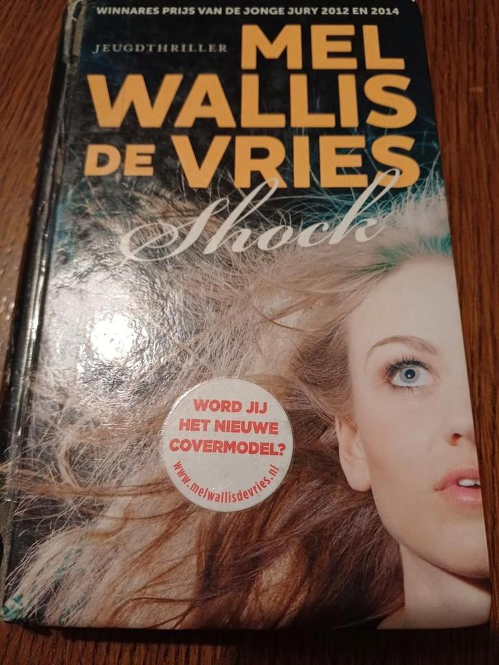 Shock - Mel Wallis de Vries, Boeken, Thrillers, Gelezen, Nederland, Ophalen of Verzenden