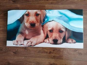 Foto honden op licht houten frame (soort canvas) beschikbaar voor biedingen