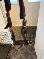 Halster, Dieren en Toebehoren, Ophalen of Verzenden, Zo goed als nieuw, Overige soorten