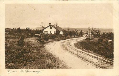 (304-090-047) Rijssen De Spannevogel, Verzamelen, Ansichtkaarten | Nederland, Overijssel, Verzenden