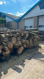 Haardhout | diverse soorten | boomstammen, 6 m³ of meer, Ophalen, Overige houtsoorten, Stammen