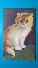 Poes kat kitten, Verzamelen, Ansichtkaarten | Dieren, Ophalen of Verzenden, Voor 1920, Ongelopen, Hond of Kat