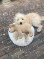Zacht Beige Fluffy Pluche Honden mand Kleine homd of pup, Ophalen of Verzenden, Zo goed als nieuw, Pluche
