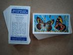 Butterflies of the World complete set 50 tea cards vlinders, Verzamelen, Ophalen of Verzenden