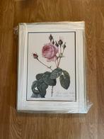 Rosa Centifolia Bullata - Ingelijste Kunstreproductie, Ophalen of Verzenden