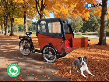 Elektrische Babboe Big/Dog hondenbakfiets beschikbaar voor biedingen