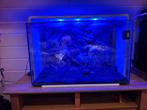 Superfish aquarium 110liter + Bluewave filter 05, Dieren en Toebehoren, Ophalen, Gebruikt, Leeg aquarium