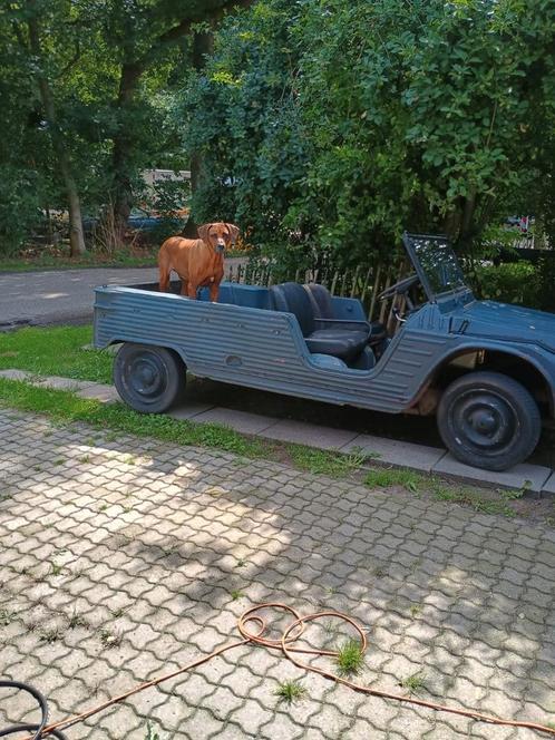 Niet meer te koop- geschonken aan Stichting Veilig Erf, Auto's, Citroën, Particulier, Overige modellen, Benzine, Cabriolet, Handgeschakeld