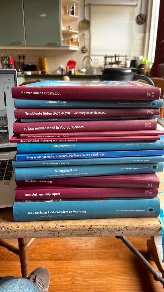 Collectie boeken Historisch Voorburg, ca 24 titels, Boeken, Geschiedenis | Stad en Regio, Zo goed als nieuw, Ophalen of Verzenden