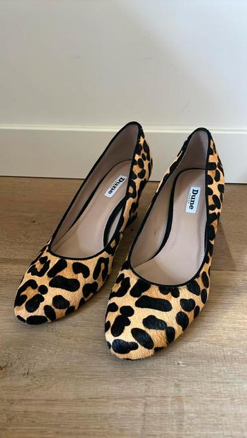 Zgan leopard pumps van Dune London beschikbaar voor biedingen