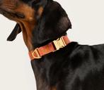 Riem en Halsband, Ophalen of Verzenden, Nieuw