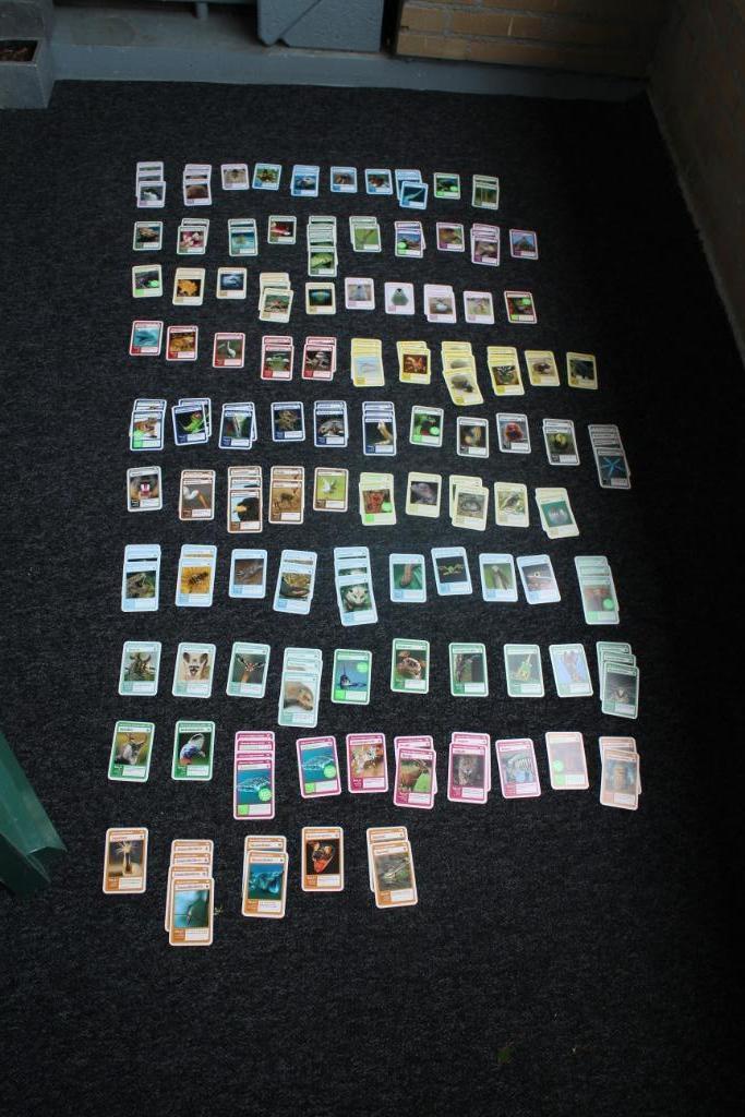 DIVERSEN SUPER DIEREN PLAATJES/KAARTJES, Verzamelen, Supermarktacties, Albert Heijn, Ophalen of Verzenden