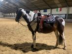 Westernzadel, Dieren en Toebehoren, Paarden en Pony's | Zadels, Western, Zo goed als nieuw, Ophalen