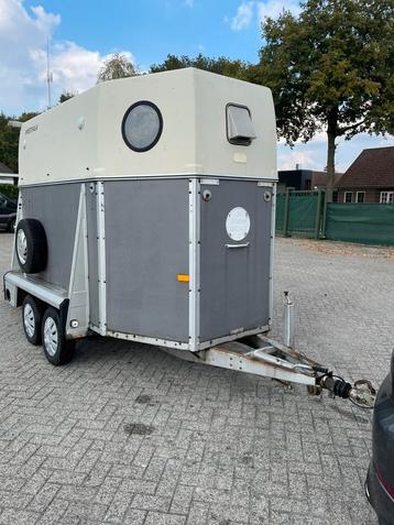 Westfalia 2 paards trailer met zijdeur beschikbaar voor biedingen