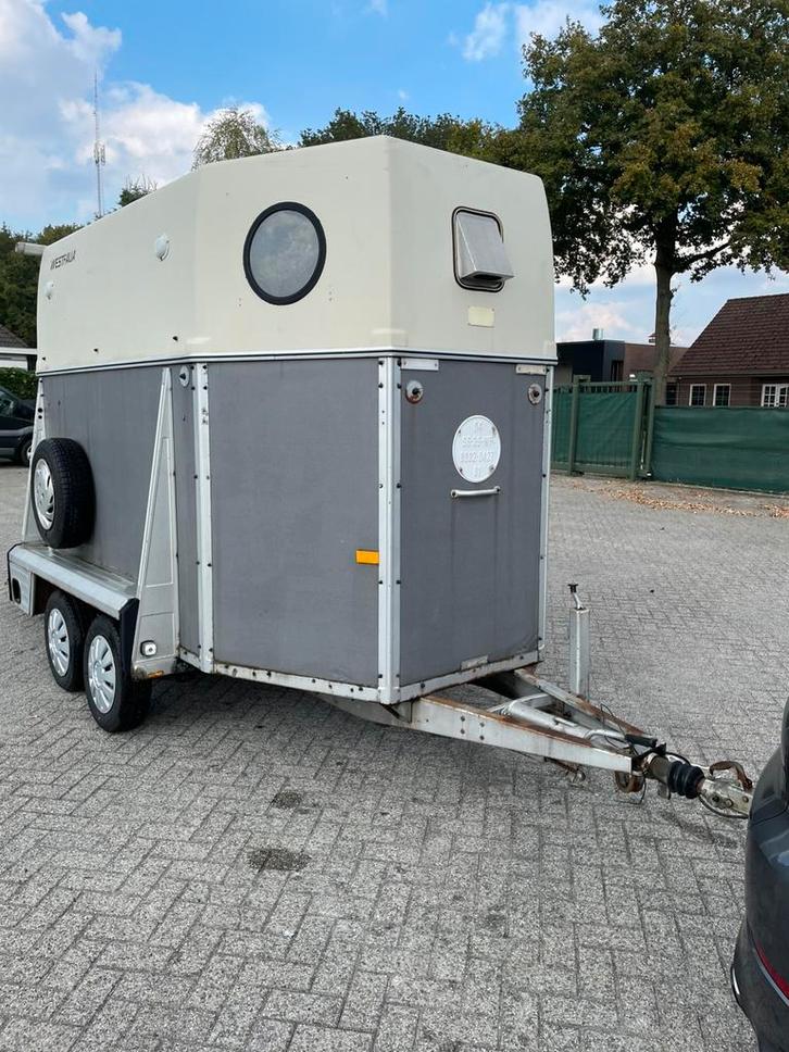 Westfalia 2 paards trailer met zijdeur, Dieren en Toebehoren, Paarden en Pony's | Trailers en Aanhangwagens, Gebruikt, 2-paards trailer