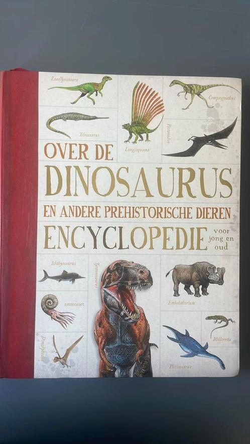 Over de dinosaurus en andere prehistorische dieren, Boeken, Kinderboeken | Jeugd | onder 10 jaar, Zo goed als nieuw, Non-fictie