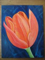 Rode Tulp schilderij (40 x 50 cm.), Ophalen, Minder dan 50 cm, Nieuw, Schilderij
