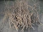 Decoratietakken - Takken kronkelhazelaar / krulhazelaar, Huis en Inrichting, Ophalen, Nieuw