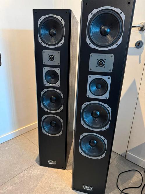 Quadrille Taurin MK2 Luidsprekers - Zo Goed Als Nieuw, Audio, Tv en Foto, Luidsprekers, Zo goed als nieuw, Front, Rear of Stereo speakers