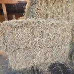 Hooi Balen ,  110cm lang, paarden / pony  hooipakken, Dieren en Toebehoren, Mannelijk, Schaap