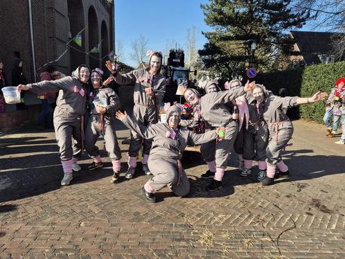 Geweldige Loopgroep met wagen prijswinnend, Kleding | Dames, Carnavalskleding en Feestkleding, Zo goed als nieuw, Ophalen