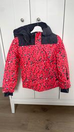 Skijas maat 146/152, Gebruikt, Meisje, Ophalen of Verzenden, Hema