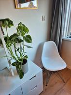 2x witte Vitra DSR chair / Ray & Charles Eames, Ophalen, Gebruikt, Wit
