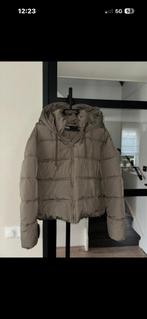 Zara jas - Maat L, Kleding | Dames, Ophalen of Verzenden, Nieuw