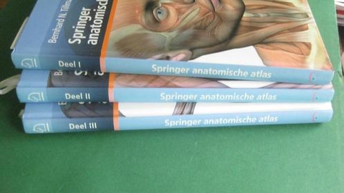 Springer Anatomische Atlas (3 delen), Boeken, Studieboeken en Cursussen, Nieuw, Niet van toepassing, Beta, Ophalen of Verzenden