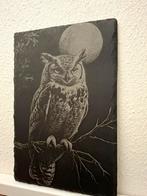 Leisteen 20x30 cm met uil serveerplank, Ophalen of Verzenden, Nieuw, Rechthoekig, Overige materialen