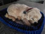 1 sleeping pet
Golden retriever
Nieuw prijs €33,95, Kinderen en Baby's, Speelgoed | Knuffels en Pluche, Ophalen of Verzenden, Nieuw