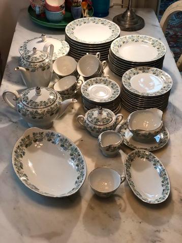 Tirschenreuth Servies Druivenrank - Compleet! beschikbaar voor biedingen