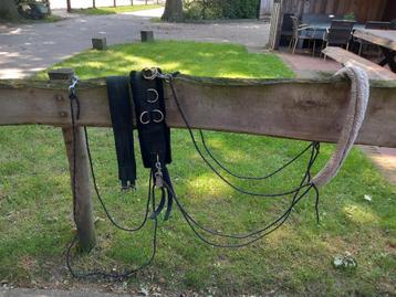 Longeersingel met pessoa beschikbaar voor biedingen