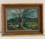 Prachtig lanschap ulvenhout, Antiek en Kunst, Kunst | Schilderijen | Modern, Ophalen of Verzenden