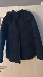 Nieuwe moose knuckles, Ophalen of Verzenden, Nieuw, Maat 38/40 (M), Zwart
